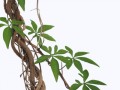 pngwing.com (25)