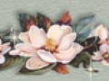 _5_arnusha