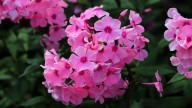 IMG_0024 копия