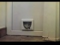 Тест-драйв кошачего лаза
