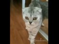 Oh! it's just me! / Фух! Это всего лишь я!
