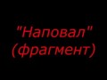 Невзоров о фанатиках