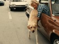 funny-celebrity-gifs-out-of-gas-no-problem
