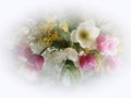 _1_arnusha