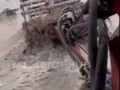 большой кроко