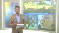 напала и изуродовала 9 летнюю девочку