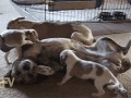 gifs_17 (1)