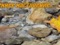 осеннее настроение