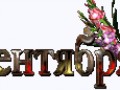 131241632_14858756-плеер1