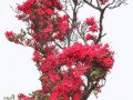0_164b08_e8812e8a_orig_yapfiles.ru