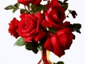 0_11c1b5_835731c5_origmin_yapfiles.ru-min
