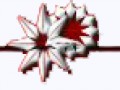 _1_arnusha