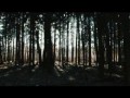Обзор от Леонидыча - Костёр "Пирамида"