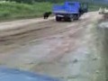 Камчатский медведь