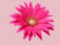 4__arnusha