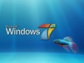 MiniWin7 Ultimate USB x86 от aleks200059 Final Rus