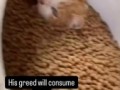 satisfaction of greed