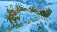 pic (7)