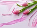 fon21_arnusha