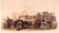 10.На биваке, 31 августа 1812 г.