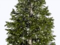 elka-vysokaya-naturalnaya-s-blestkami optima