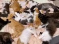 Захват_кровати