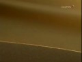 Ящерка танцует