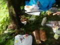 Бесстрашная выдра ест мясо с рук