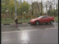 Теперь друг человека – олень!