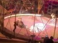 Нападение хищника