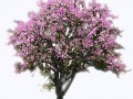 18f42f0ce4027098ce252914aaa835a6