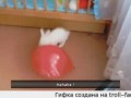 по газам