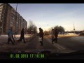 собаки
