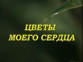 РАСПУСКАЮЩИЕСЯ ЦВЕТЫ ПОД МУЗЫКУ ШРИ ЧИНМОЯ