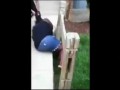 Досталось толстушке