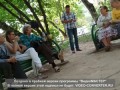 Чем занимаются бабки?