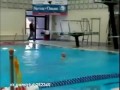 С трамплина на трамплин