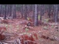 На повороте авто теряет колесo ...