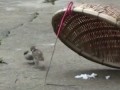 настоящий друг