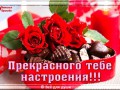 Прекрасного настроения!!!