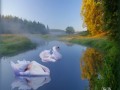 ,ЭТОТ-АВГУСТ_01-1
