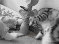 смотри как надо