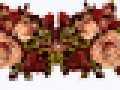 _3_arnusha