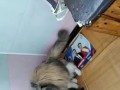 Защита, Развитие , Забота