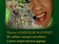 просто-одинокая-волчица1