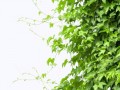 klipartz.com (18)