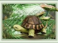 12.01.2023 A frog, almost a princess2а