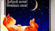 Спокойной ночи, нежных снов!