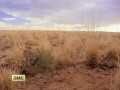 BETTER CALL SAUL Trailer | Season 1