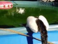 https__vk_com_gif_fa